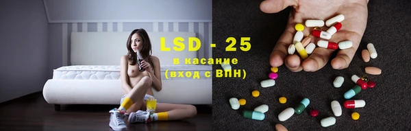 дмт Аркадак