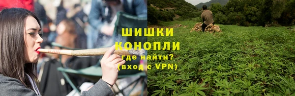 тгк Арсеньев