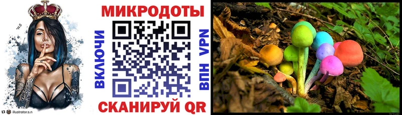 где найти наркотики  Новоаннинский  Галлюциногенные грибы мицелий 